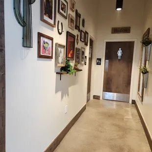 a hallway with cactuses and pictures on the wall
