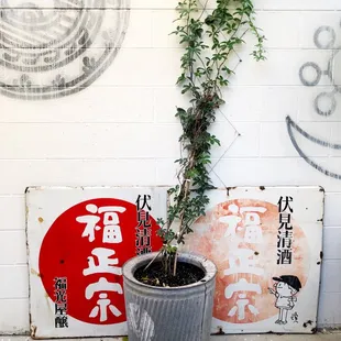 a potted plant in front of a brick wall