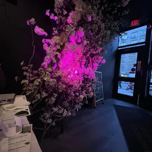 Instagrammable back drops