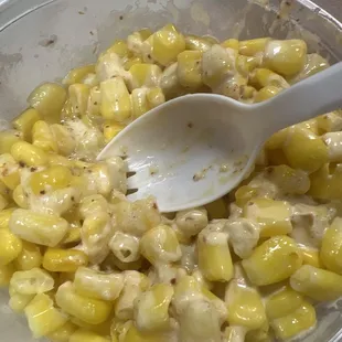 food, pasta, pasta dish