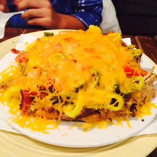 The Loaded Fries!....Pulled Pork, Bacon, Beef, Tomatoes, Jalapeño Banana Peppers, Chives &amp; Cheese galore!!