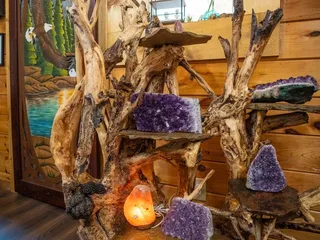 Earth Shop
