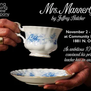 An ambitious ten-year-old strives to achieve a perfect score in etiquette class  and to uncover the secret of prim Mrs. Mannerly&apos;s past.