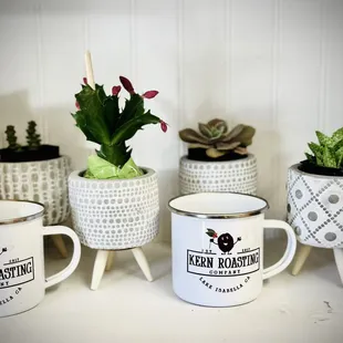 a variety of coffee mugs
