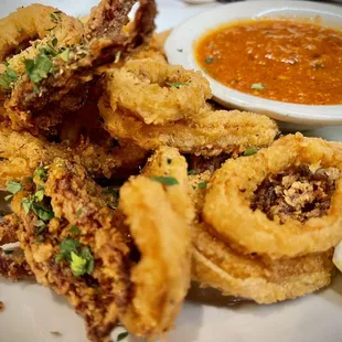 Fried Calamari