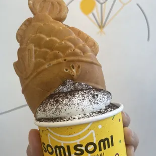 Nutella Filled Taiyakis