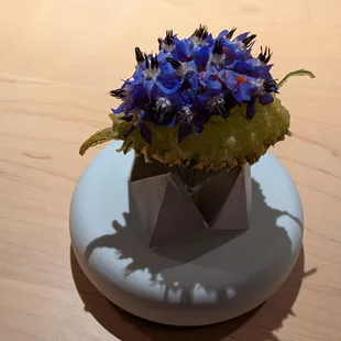 @endoedibles on Instagram 12/7/24  Shiso tartare tempura