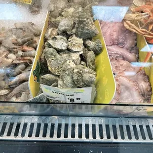 OYSTERS!!