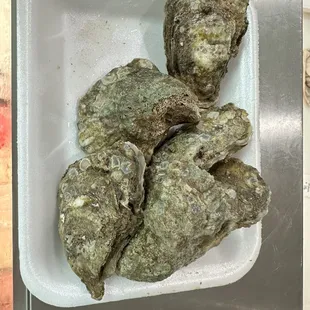 1/2 dozen fresh oysters