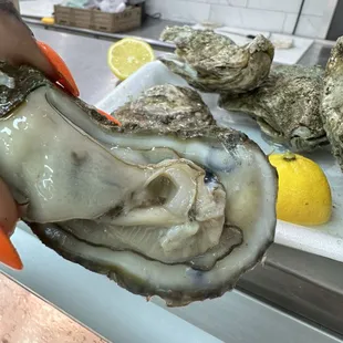 Fresh and meaty oyster. Delicious.