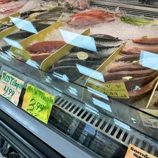 Fish section.