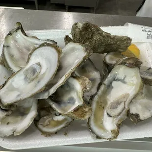 1/2 dozen delicious fresh oysters