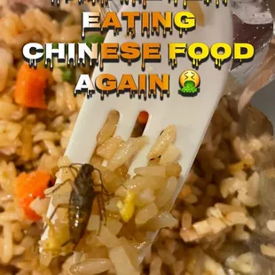 A roach in my food