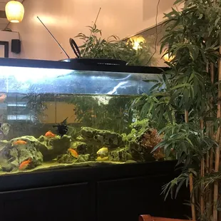 Aquarium