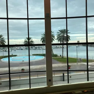 a view of a swimming pool