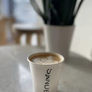 Cappuccino Perfection