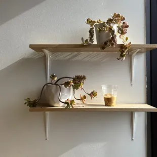 My doppio on a shelf