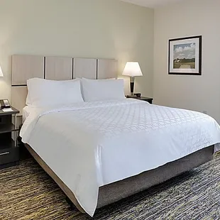 Fully furnished apartment style Studio Suite