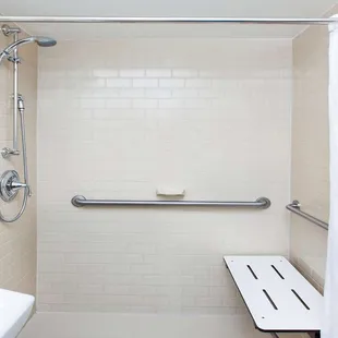 Accessible Guest Bath with Roll In Shower