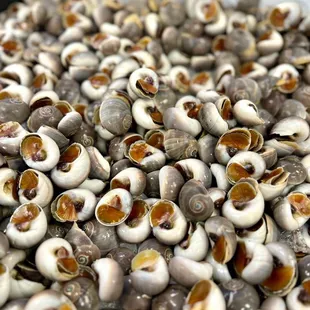 Grease snails $7.99/lb