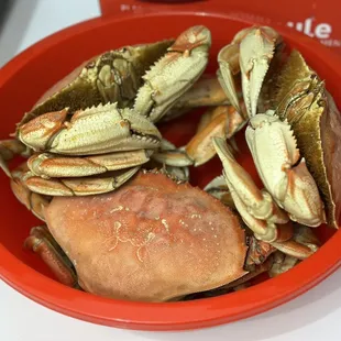 Dungeness crab on sale !!!