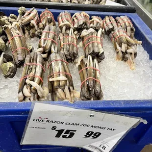 a display of fresh seafood