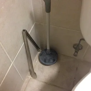 Plunger next to toilet - tacky, but utilitarian.  Tongs?  Not okay!