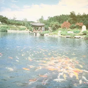 Serene scene over the window