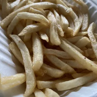 Regular fries