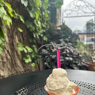 Vanilla ice cream
