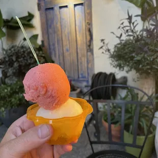 Strawberry rhubarb and ginger gelato scoops.