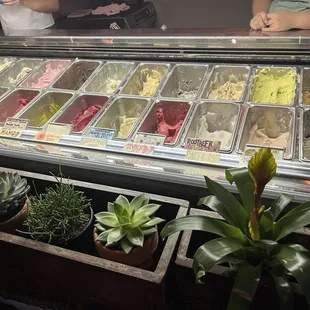 So many flavors!!