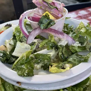 Dead lettuce given for us to eat In antipasto horrible dressing