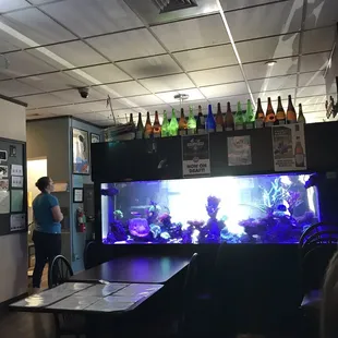 Aquarium decor