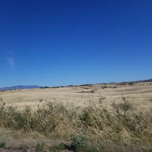 a view of an open field