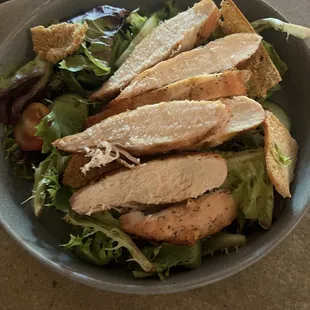 Salad with chicken slices