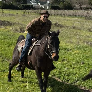Horses have to pee too!