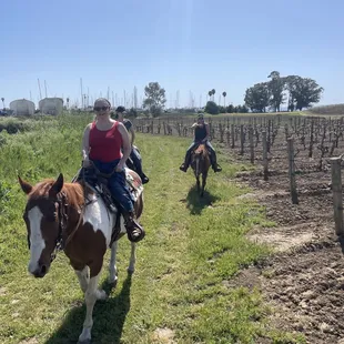 Great ride in the vineyard.