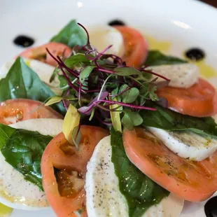 a plate of tomatoes and mozzarella