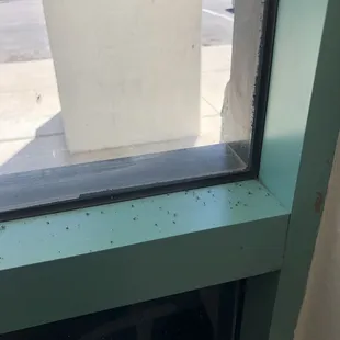 The place was loaded with bugs.