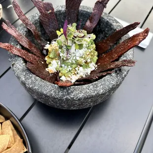 Guacamole Carne Seca