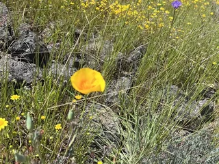 Red Hills Recreation Management Area