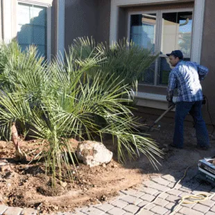 Brandon isn't afraid of a shovel. Planting palms and cacti properly is imperative to their long life.