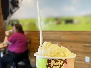 The Screamery HandCrafted Ice Cream