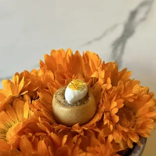 dessert, food, cupcakes