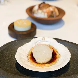 Scallop