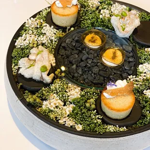 1st Course