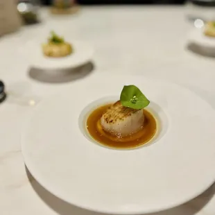 Scallop