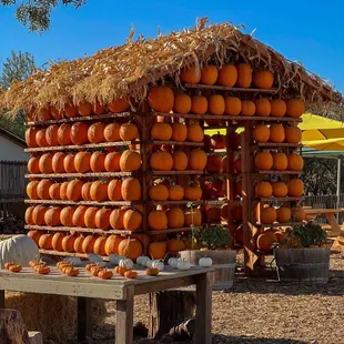 Sons Farm Fresh