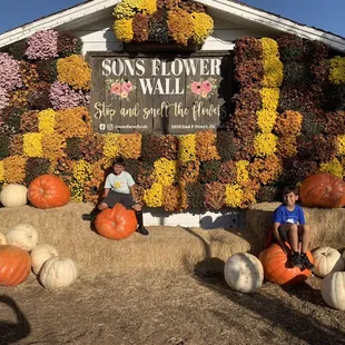 Pumpkin patch, fruit stand, small maze for kids
